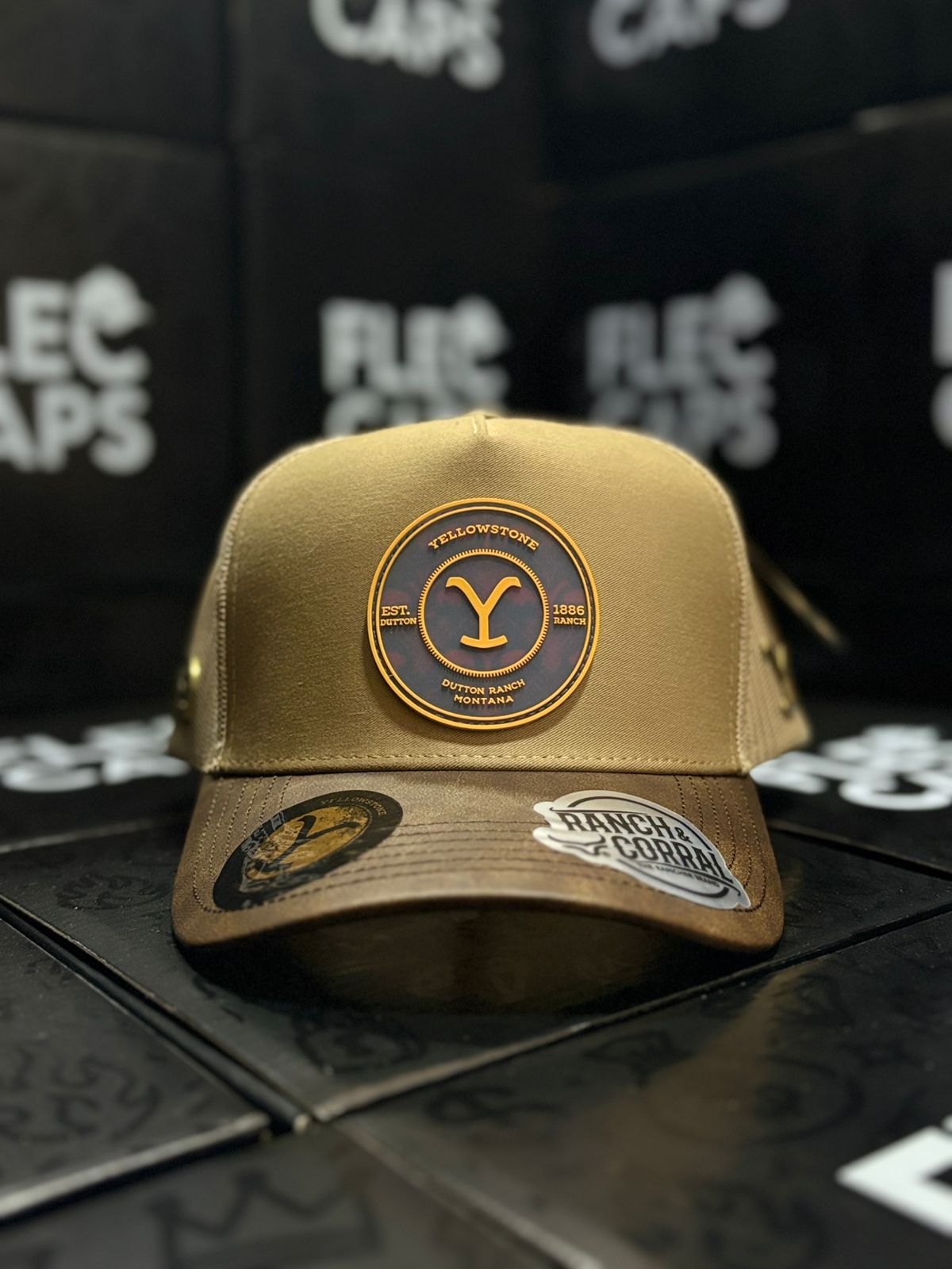 YELLOWSTONE BEIGE CON CAFÉ